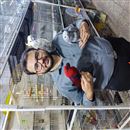 نمایشگاه پرندگان زینتی مهندس عظیمی 