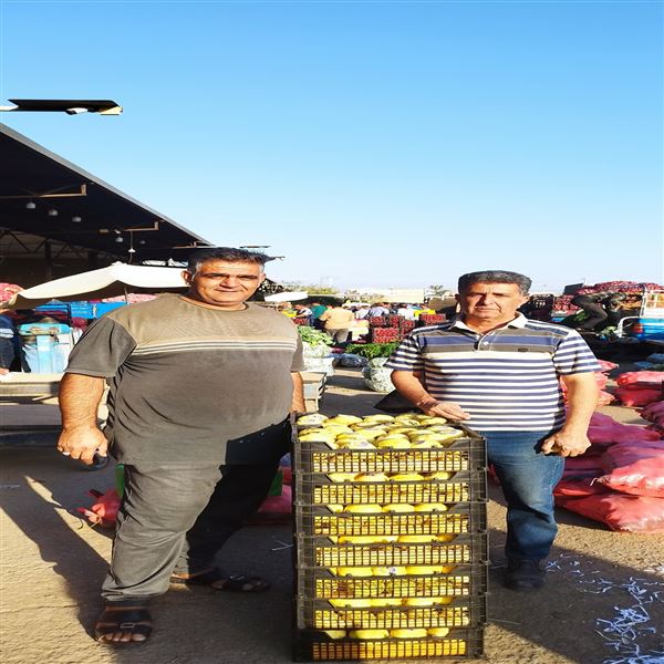 بار فروشی حاج نعمت اله شعبانی و پسران 