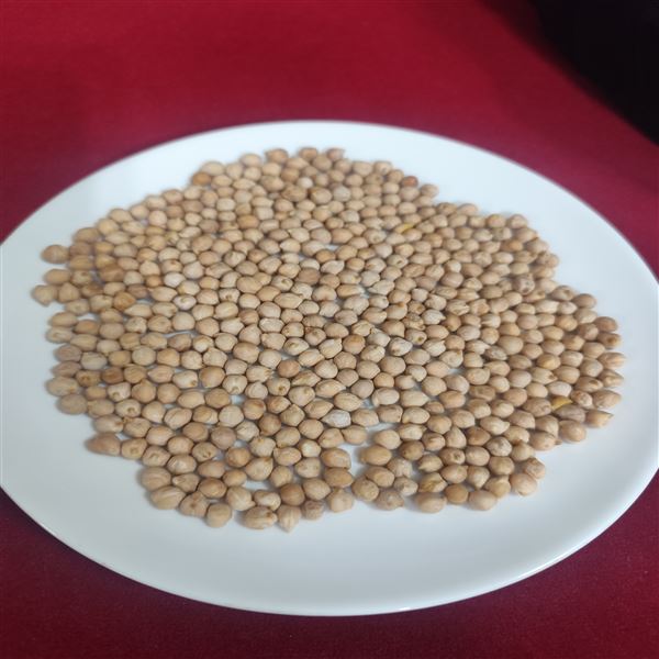 واردات نخود و عدس و حبوبات