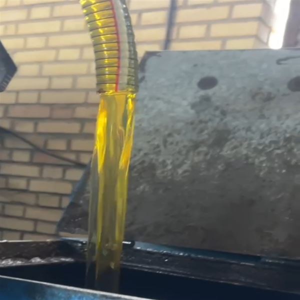 شرکت فرا طیور رامسین ابهر