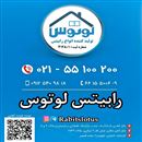 رابیتس لوتوس