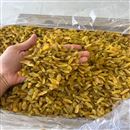 فروش عمده انواع کشمش صادراتی 