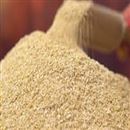 سبوس برنج صحرا