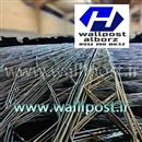 والپست البرز