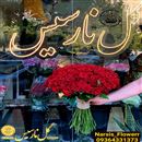 گلفروشی نارسیس