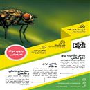 تله مگس ارگانیگ