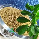 کارخانه بوجاری و فروش انواع بذر یونجه و علوفه