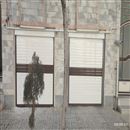 سپیددر ایمن