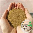 فروشگاه بذر یونجه 