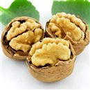 مرکزپخش خشکبارتک